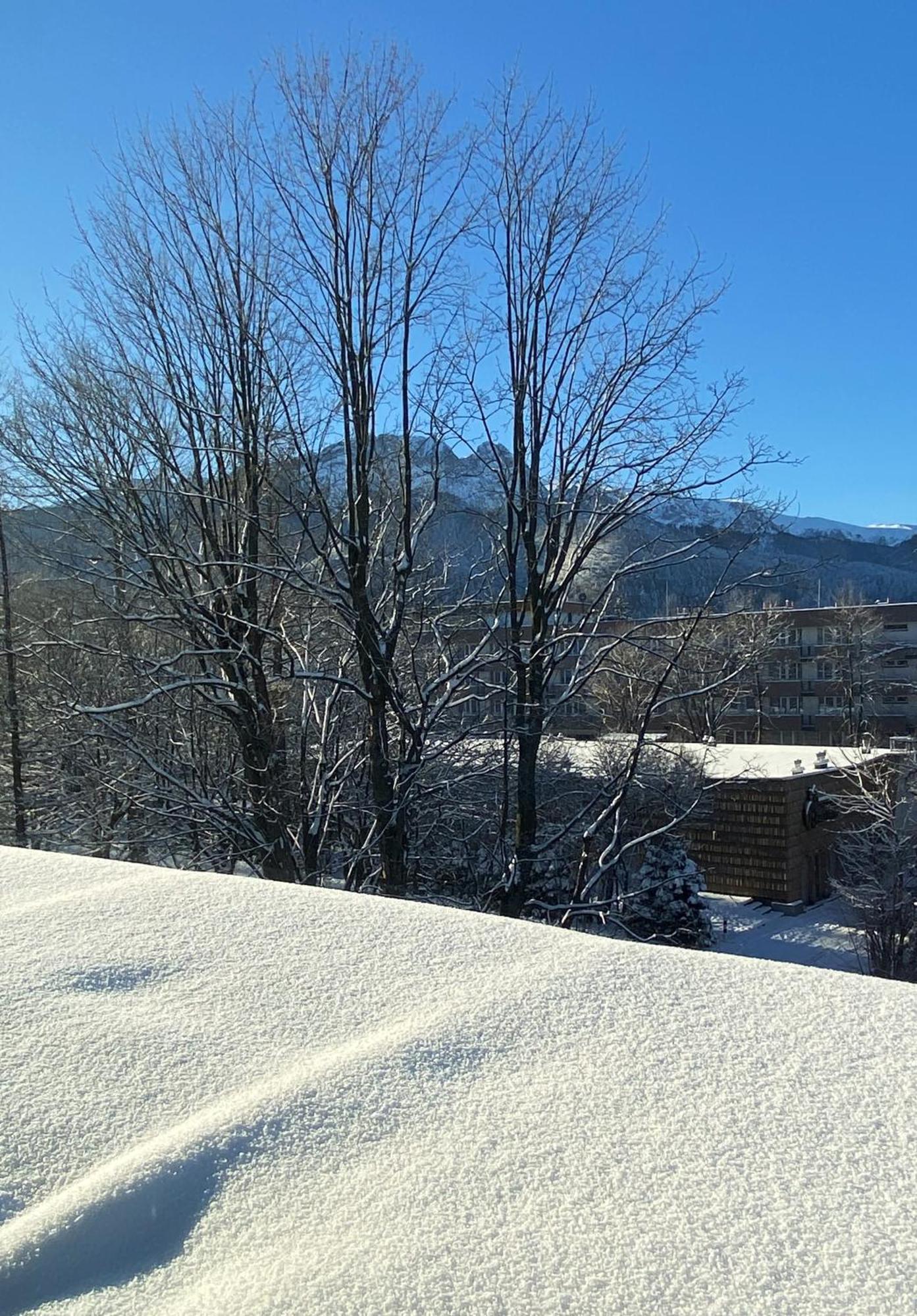 Tuberoza Bed and Breakfast Zakopane Exteriör bild